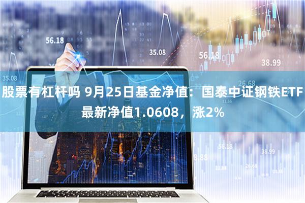 股票有杠杆吗 9月25日基金净值：国泰中证钢铁ETF最新净值1.0608，涨2%
