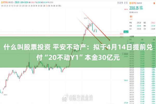 什么叫股票投资 平安不动产：拟于4月14日提前兑付“20不动Y1”本金30亿元