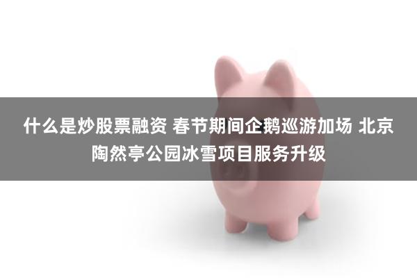什么是炒股票融资 春节期间企鹅巡游加场 北京陶然亭公园冰雪项目服务升级