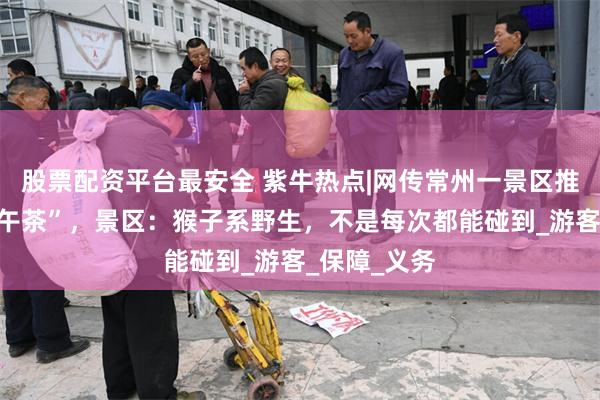 股票配资平台最安全 紫牛热点|网传常州一景区推出“吗喽下午茶”，景区：猴子系野生，不是每次都能碰到_游客_保障_义务