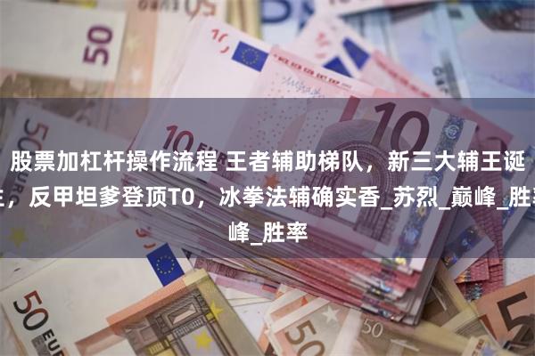 股票加杠杆操作流程 王者辅助梯队，新三大辅王诞生，反甲坦爹登顶T0，冰拳法辅确实香_苏烈_巅峰_胜率