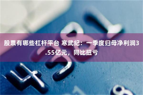 股票有哪些杠杆平台 寒武纪：一季度归母净利润3.55亿元，同比扭亏