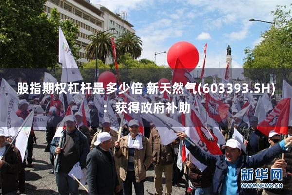 股指期权杠杆是多少倍 新天然气(603393.SH)：获得政府补助
