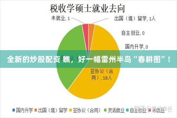 全新的炒股配资 瞧，好一幅雷州半岛“春耕图”！