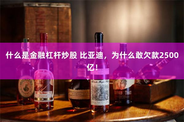 什么是金融杠杆炒股 比亚迪，为什么敢欠款2500亿！