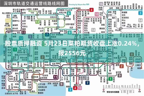 股票质押融资 5月23日菜粕期货收盘上涨0.24%，报2556元
