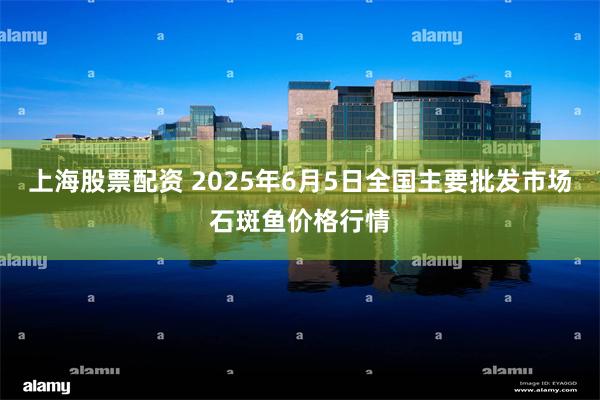 上海股票配资 2025年6月5日全国主要批发市场石斑鱼价格行情