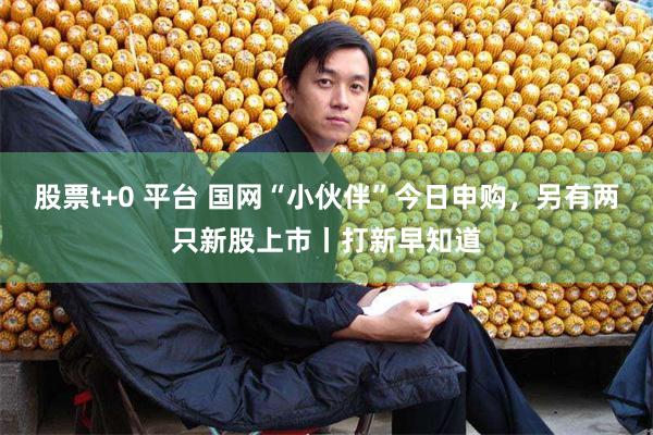 股票t+0 平台 国网“小伙伴”今日申购，另有两只新股上市丨打新早知道