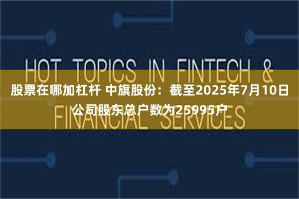 股票在哪加杠杆 中旗股份：截至2025年7月10日公司股东总户数为25995户