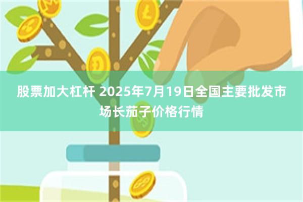 股票加大杠杆 2025年7月19日全国主要批发市场长茄子价格行情