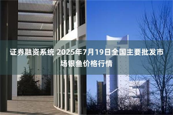 证券融资系统 2025年7月19日全国主要批发市场银鱼价格行情