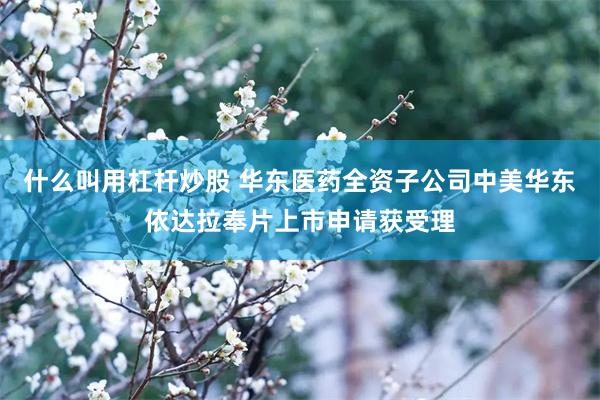 什么叫用杠杆炒股 华东医药全资子公司中美华东依达拉奉片上市申请获受理