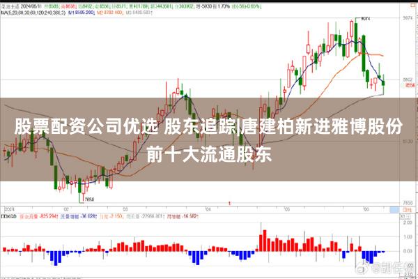 股票配资公司优选 股东追踪|唐建柏新进雅博股份前十大流通股东