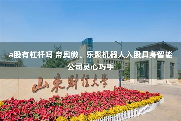 a股有杠杆吗 帝奥微、乐聚机器人入股具身智能公司灵心巧手